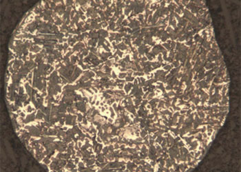 WC Co-grain
