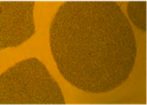 WC Co-Pellets in Ni-Matrix
